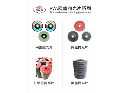 PVA mesh cover polishing pad 100 * 10 * 16mm